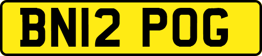 BN12POG