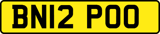 BN12POO