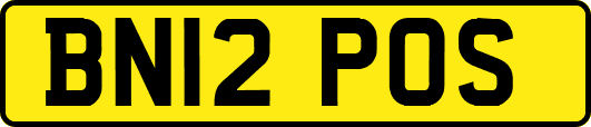 BN12POS