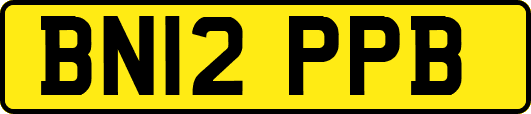 BN12PPB