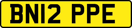 BN12PPE