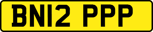 BN12PPP