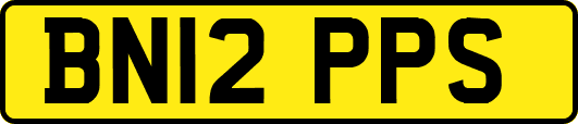 BN12PPS