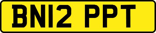 BN12PPT