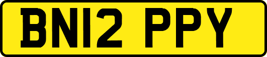 BN12PPY
