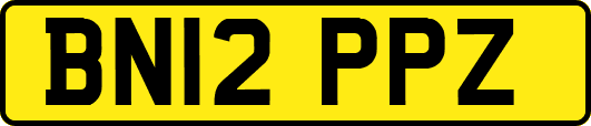 BN12PPZ