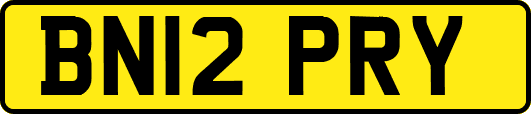 BN12PRY