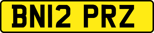 BN12PRZ