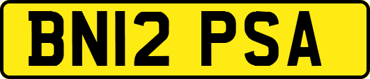 BN12PSA