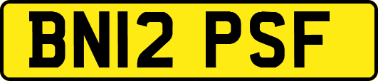 BN12PSF