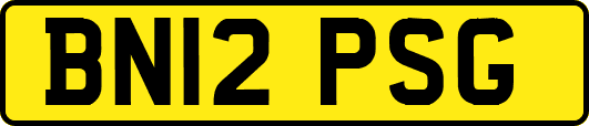 BN12PSG