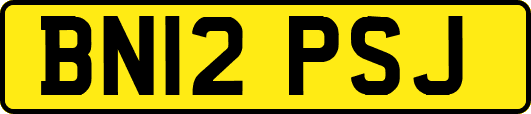 BN12PSJ