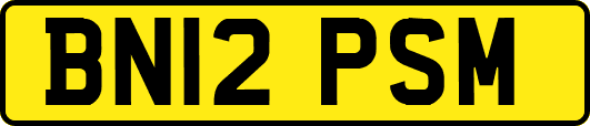 BN12PSM