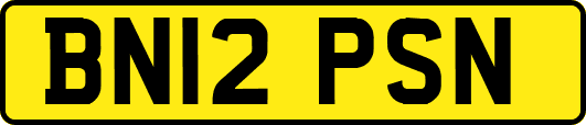 BN12PSN