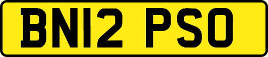 BN12PSO