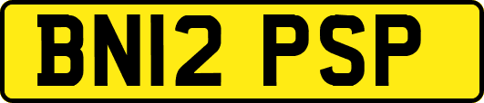 BN12PSP