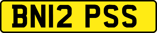 BN12PSS
