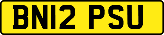 BN12PSU