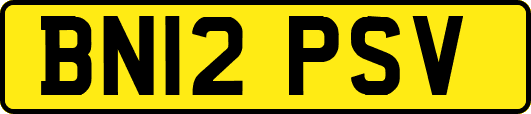 BN12PSV