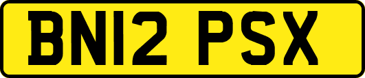 BN12PSX