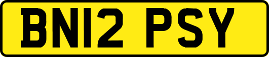 BN12PSY