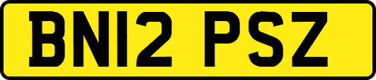 BN12PSZ