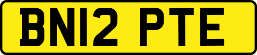 BN12PTE