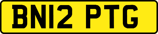 BN12PTG