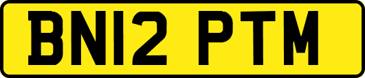 BN12PTM