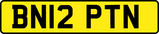 BN12PTN