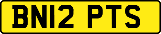 BN12PTS