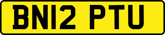 BN12PTU