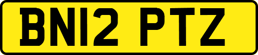 BN12PTZ