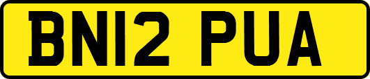 BN12PUA