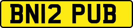 BN12PUB