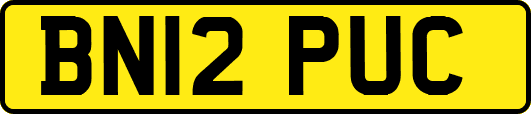 BN12PUC