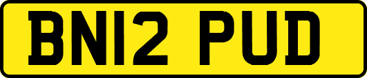 BN12PUD