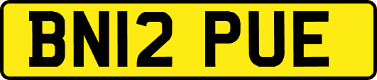 BN12PUE
