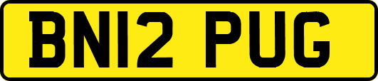 BN12PUG