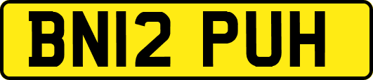 BN12PUH