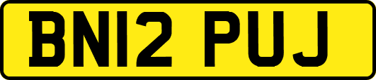 BN12PUJ
