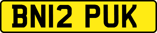 BN12PUK