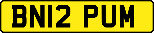 BN12PUM