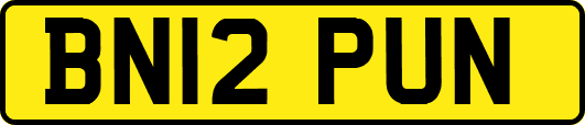 BN12PUN