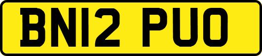 BN12PUO