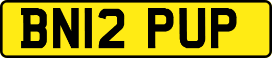 BN12PUP