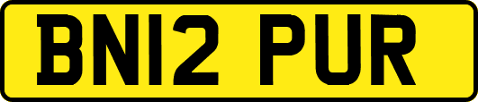BN12PUR