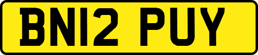 BN12PUY