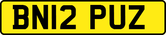 BN12PUZ