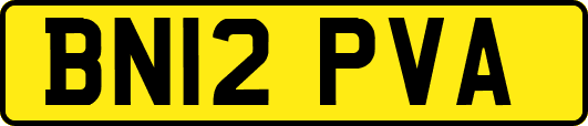 BN12PVA